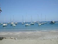 Catalina 579.JPG